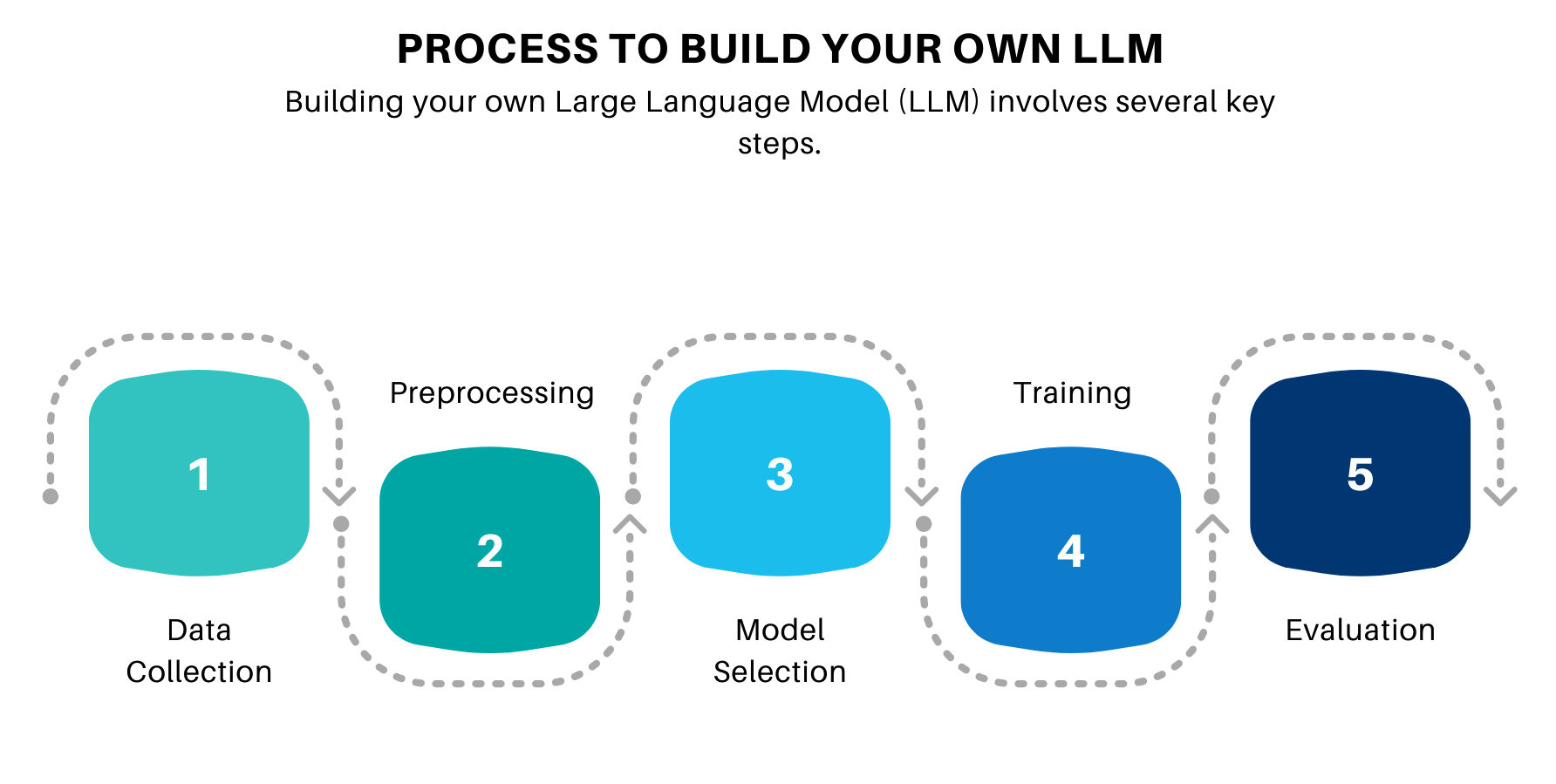 Process to Build a Large Language Model